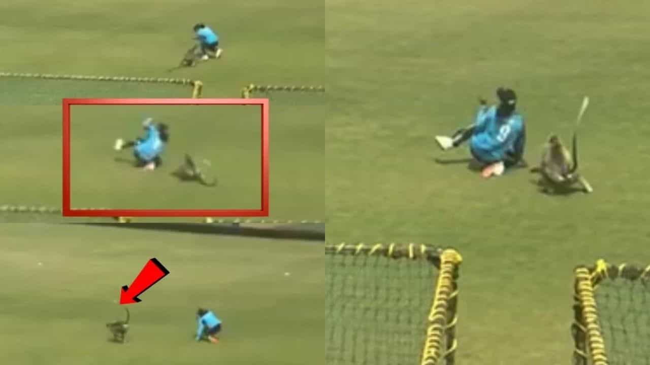 Video: ચાલુ મેચમાં ઘૂસી ગયો વાંદરો, ખેલાડી પર કર્યો હુમલો, રોકવી પડી મેચ