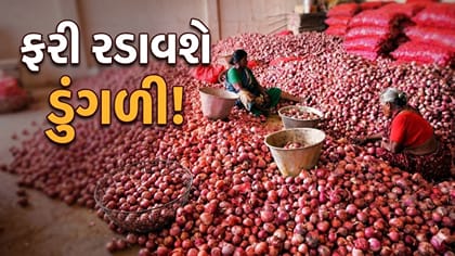મોંઘવારીનો મોટો ઝટકો! ડુંગળીના ભાવમાં 108%નો ઉછાળો, ભાવ વધશે કે ઘટશે?