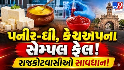 રાજકોટમાં ભેળસેળનો પર્દાફાશ! પપૈયામાંથી બનતો હતો ટમેટો સોસ
