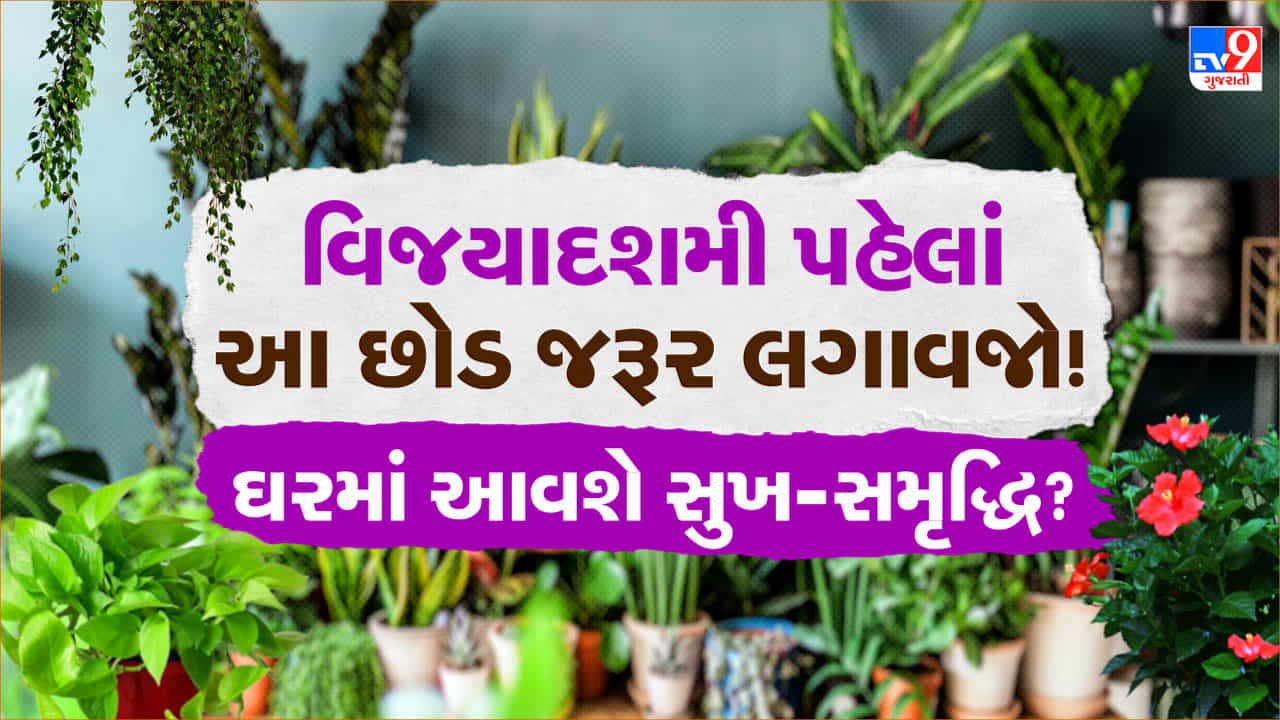 વિજયાદશમી પહેલાં ઘરમાં લગાવો આ 5માંથી કોઈ એક છોડ, સુખ-સમૃદ્ધિ સાથે મળશે મા દુર્ગાની કૃપા !