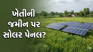 Breaking News : ગુજરાતમાં ફળદ્રુપ જમીન પર સોલર પેનલ લગાવવા પર નિયંત્રણની તૈયારી, સરકાર ઘડશે નવી નીતિ?