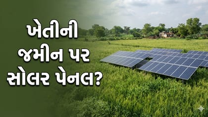 ગુજરાતમાં ફળદ્રુપ જમીન પર સોલર પેનલ લગાવવા પર નિયંત્રણની તૈયારી