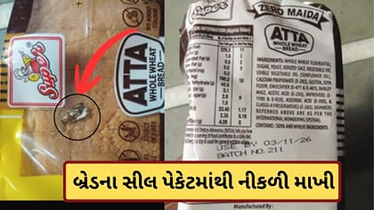 વડોદરામાં બ્રેડના સીલ પેકેટમાંથી નીકળી માખી, વીડિયો વાયરલ