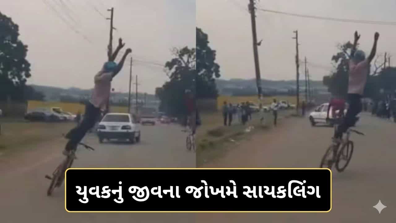 Trending Video : જીવના જોખમે યુવકે કર્યું સાયકલિંગ, વીડિયો જોઈને આંખો પહોળી થઈ જશે!